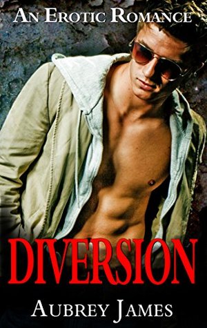 Diversion (Kindle Edition)