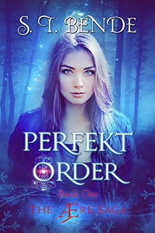 Perfekt Order (The Ære Saga, #1)