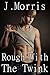 Rough With The Twink (4 Stories)