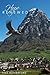 Hope Renewed (Silverwood Sa...