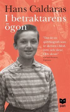 I betraktarens ögon (Paperback)