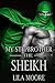 My Stepbrother the Sheikh 1 (A Baby for the Billionaire, #1)