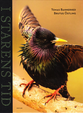 I starens tid (Hardcover)