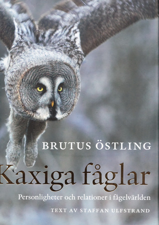 Kaxiga fåglar - personligheter och relationer i fågelvärden (Hardcover)