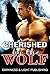 Cherished by the Wolf