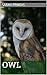 OWL: A Winterling story abo...
