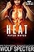 Heat (Dragon's Destiny: Fat...