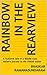 Rainbow in the Rearview: A ficitional tale of a Middle-class Indian's journey to the United States