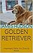 Golden Retriever: Important Facts You Should Know