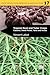 Tropical Root and Tuber Cro...