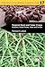 Tropical Root and Tuber Crops by Vincent Lebot