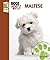 Maltese (Animal Planet Dogs 101)