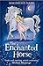 The Enchanted Horse