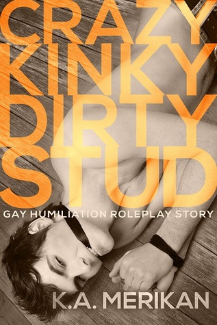Crazy Kinky Dirty Stud (Crazy Kinky Dirty Love, #2)