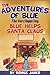 The Adventures of Blue the Very Happy Dog; Blue Meets Santa Claus. Children's dog books and short bedtime stories for kids. (The Adventures of Blue the Very Happy Dog. Book 4)