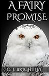 A Fairy Promise