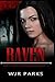 Raven (Birth into Darkness Book 1)