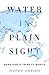 Water in Plain Sight by Judith D. Schwartz