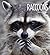 Raccoons