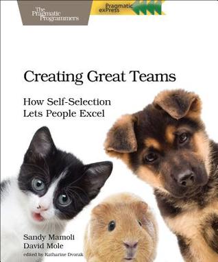 Creating Great Teams: How Self-Selection Lets People Excel (Paperback)