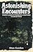Astonishing Encounters by Stan Gordon