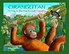 Orangutan by Rita Goldner