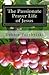 The Passionate Prayer Life of Jesus: Discover How to Pray Like Jesus