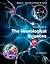 Encyclopedia of the Neurological Sciences