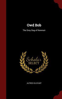 Owd Bob: The Grey Dog of Kenmuir