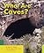 What are Caves? (Earth Features)