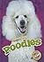 Poodles (Awesome Dogs)