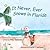 It Never, Ever Snows in Florida by Amy Sweezey