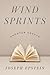 Wind Sprints: Shorter Essays