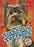 Yorkshire Terriers (Awesome Dogs)