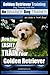 Golden Retriever Training | Dog Training with the No BRAINER Dog TRAINER ~ We Make it THAT Easy!: How to EASILY Train Your Golden Retriever