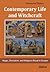 Contemporary Life and Witchcraft: Magic, Divination, and Religious Ritual in Europe