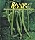 Beans by Gail Saunders-Smith