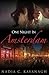 One Night in Amsterdam