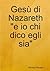 Gesù di Nazareth "e io chi dico egli sia" by Alfredo Raneri