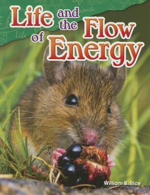 Life and the Flow of Energy (Paperback)