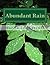 Abundant Rain Journal: A Devotional Journal for Writers of Faith