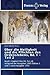 Über die Heiligkeit und die Pflichten des Ordenslebens, Bd. I... by Jochen Michels