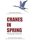 Cranes in spring