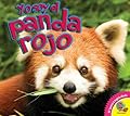 Yo Soy el Panda Rojo / I am a Red Panda)