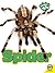Spider (Caring for My Pet)
