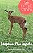 Stephen the Impala: A Little Story (Little Safari Stories Book 1)
