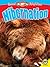 Hibernation (Animal Adaptations)