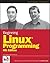 Beginning Linux Programming