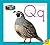Qq (Easy As ABC)