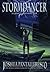 Stormdancer (The Watcher Book 2)